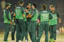پاکستان نے نیوزی لینڈ کو تیسرے ون ڈے میں شکست دے کر 5 میچوں کی سیریز اپنے نام کرلی
