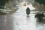 خیبرپختونخوا: مختلف اضلاع میں بارش کے باعث حادثات، بچوں سمیت 6 افراد جاں بحق